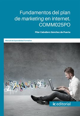 Cover image for Fundamentos del plan de marketing en internet.