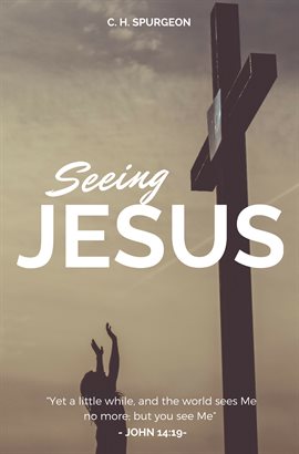 Cover image for Seeing Jesus