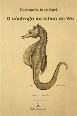 Cover image for O Náufrago No Istmo De Wu