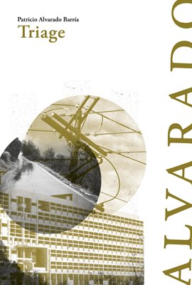 Imagen de portada para Triage