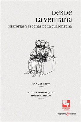 Cover image for Desde La Ventana