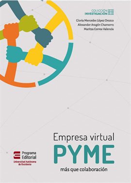 Cover image for Empresa virtual pyme