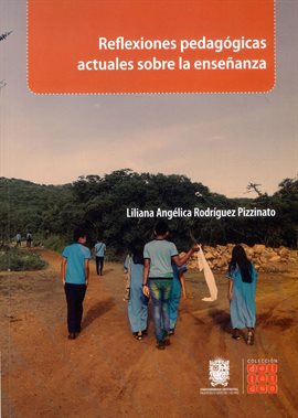 Cover image for Reflexiones Pedagógicas Actuales Sobre La Enseñanza