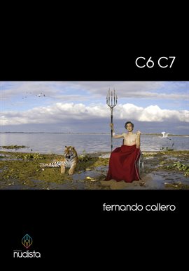 Imagen de portada para C6 C7