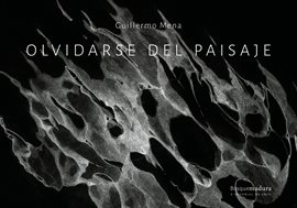 Cover image for Olvidarse del paisaje