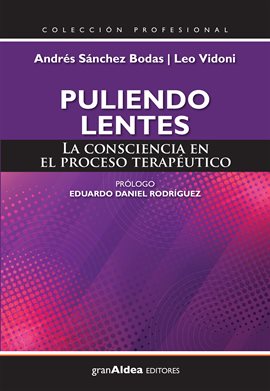 Cover image for Puliendo lentes