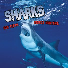 Cover image for Sharks! Big Teeth. Fierce Hunters