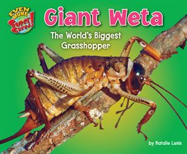 Cover image for Giant Weta