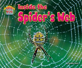 Imagen de portada para Inside the Spider's Web