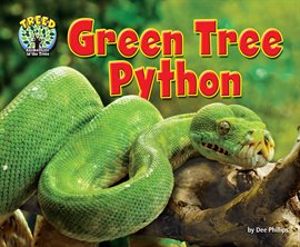 Imagen de portada para Green Tree Python