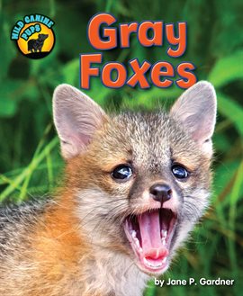 Imagen de portada para Gray Foxes