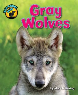 Imagen de portada para Gray Wolves