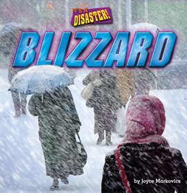 Cover image for Blizzard