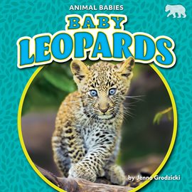 Imagen de portada para Baby Leopards