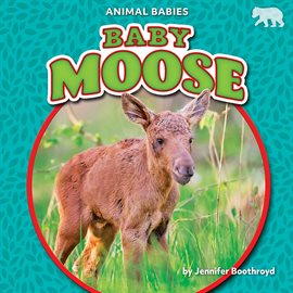 Cover image for Baby Moose