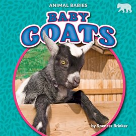 Cover image for Baby Goats