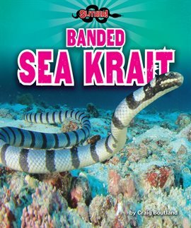 Cover image for Banded Sea Krait
