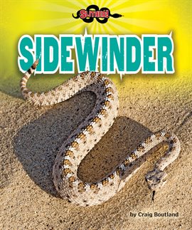Cover image for Sidewinder