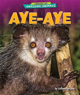 Umschlagbild für Aye-Aye