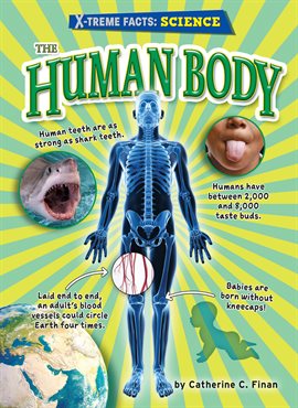 Imagen de portada para The Human Body