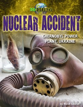 Cover image for Nuclear Accident