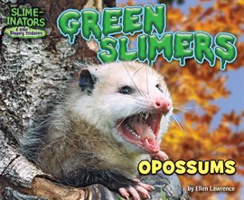 Cover image for Green Slimers
