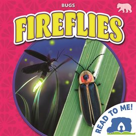 Cover image for Fireflies