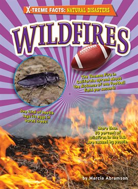 Imagen de portada para Wildfires