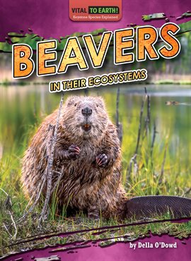 Imagen de portada para Beavers in Their Ecosystems
