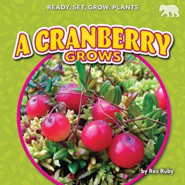 Imagen de portada para A Cranberry Grows