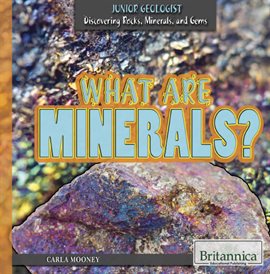 Cover image for What Are Minerals?