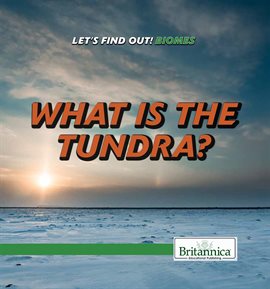 Imagen de portada para What Is the Tundra?