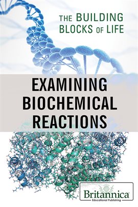 Imagen de portada para Examining Biochemical Reactions
