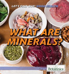 Cover image for What Are Minerals?