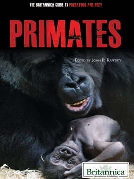 Cover image for Primates