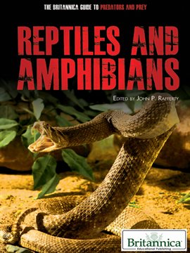 Cover image for Reptiles and Amphibians