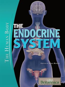 Cover image for The Endocrine System
