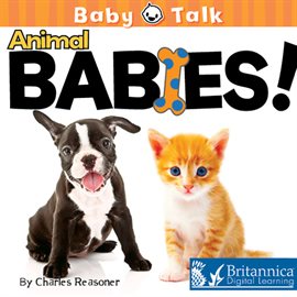 Imagen de portada para Animal Babies!