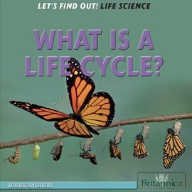 Cover image for What Is a Life Cycle?