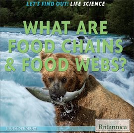 Cover image for What Are Food Chains & Food Webs?