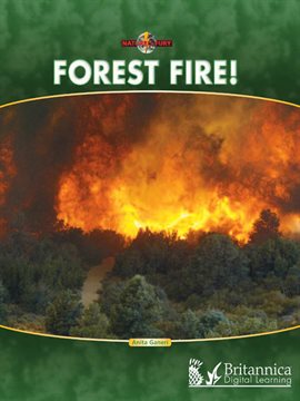 Cover image for Forest Fire!