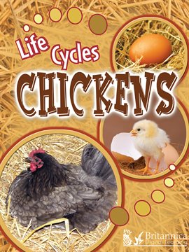 Cover image for Chickens