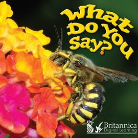 Cover image for What Do You Say?