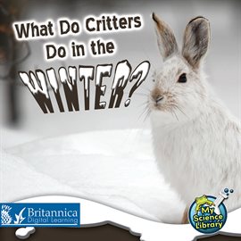 Cover image for What Do Critters Do in the Winter?
