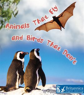 Cover image for Animals That Fly and Birds That Don't