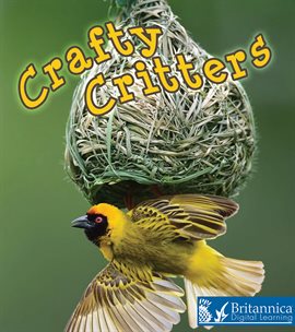 Cover image for Crafty Critters