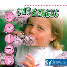 Imagen de portada para Our Senses