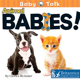 Imagen de portada para Animal Babies!