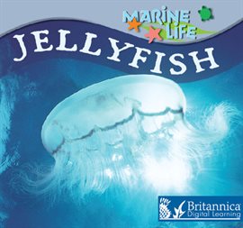 Cover image for Jellyfish
