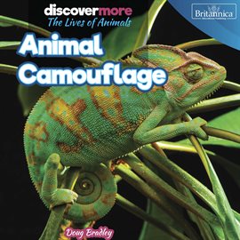 Cover image for Animal Camouflage